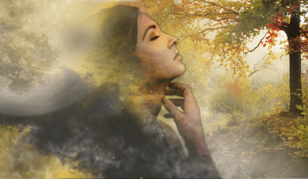 Journey of The Eternal Soul