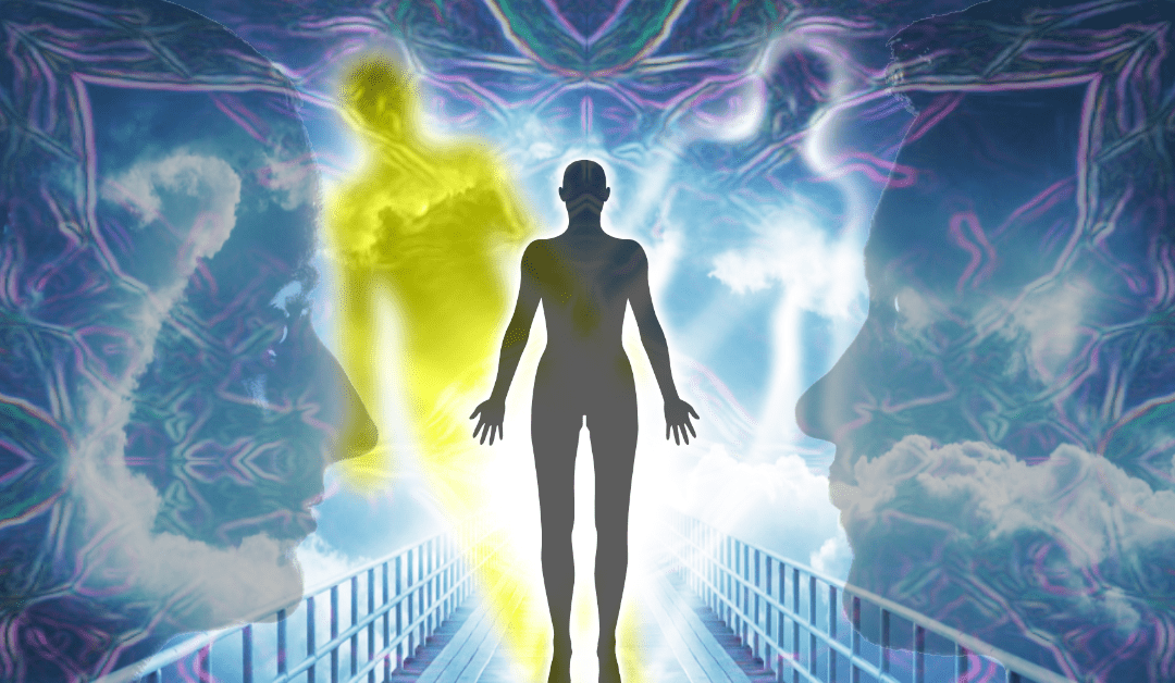 Persona verses Shadow