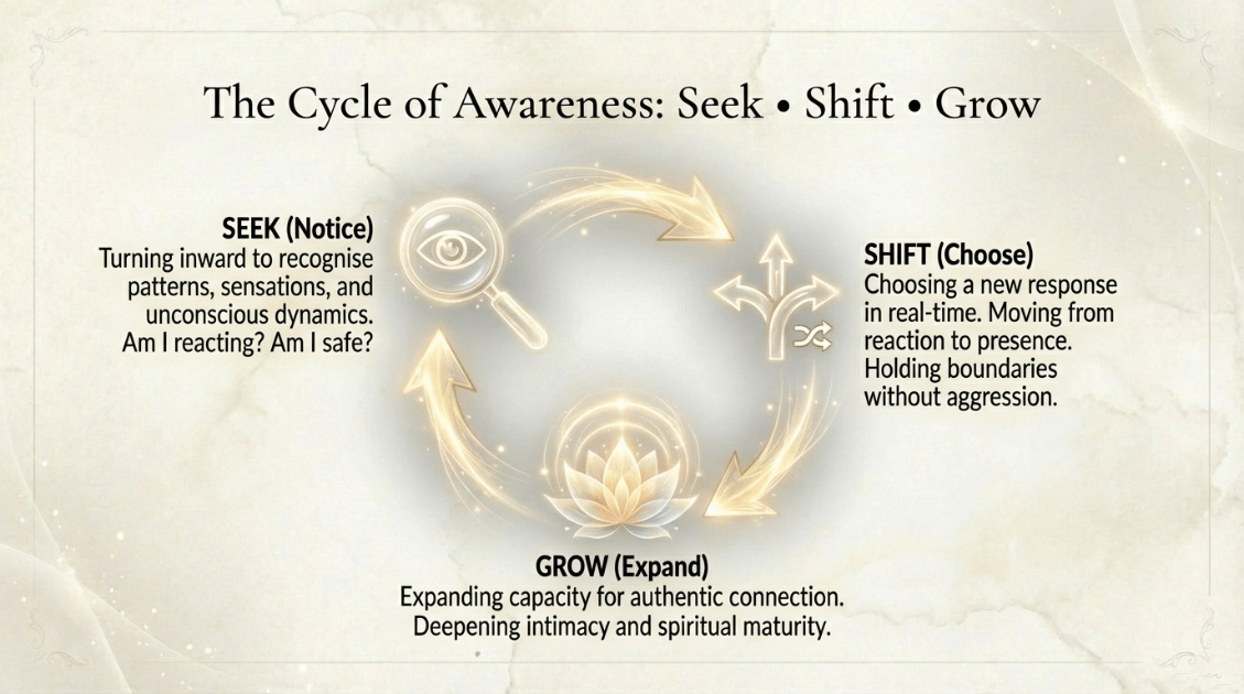 seek shift grow